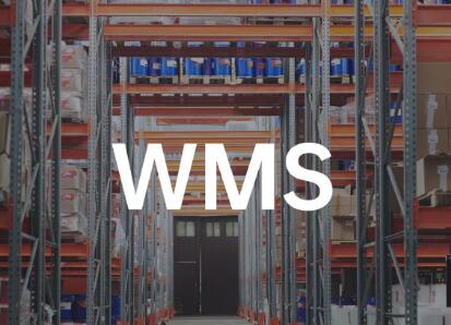 �}�����ʹ��wmsϵ�y(t��ng)��ĸ�������Щ