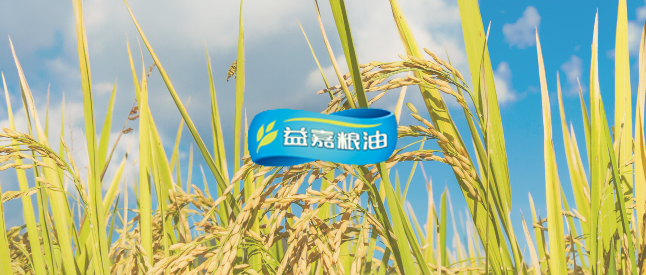 ��ʳƷ������μZ�͡����s���ô�28�A(y��)�y(c��)����(sh��)�F(xi��n)�}��(ch��)ȫ�I(y��)��(w��)������(sh��)�ֻ�����