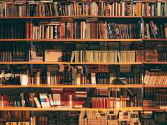 ���ô�28�A(y��)�y�y����h���D�����������ИI(y��)�F(xi��n)������(y��ng)��wϵ